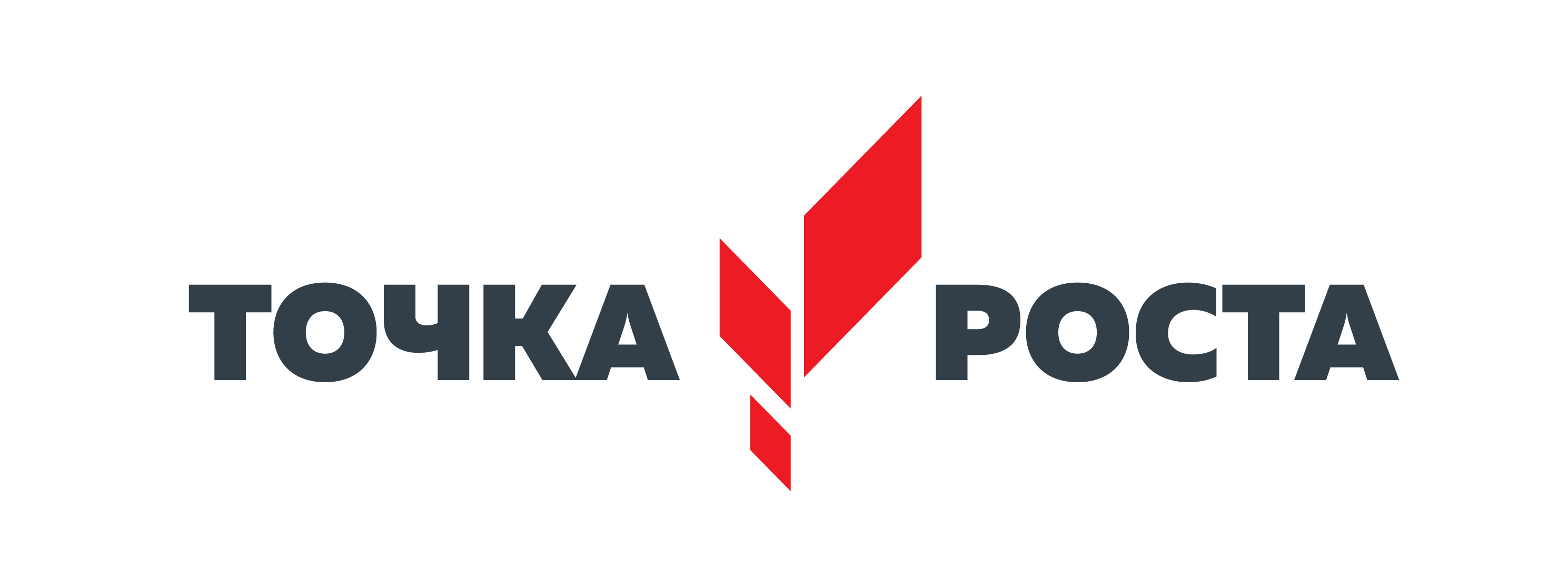 firmennyj_znak_tochka_rosta-01.png